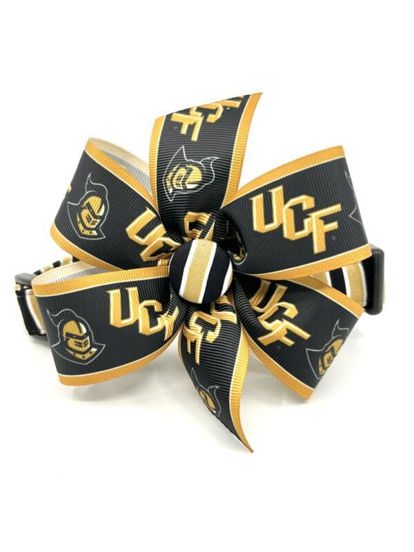A black and gold dog collar with the ucf logo on it.