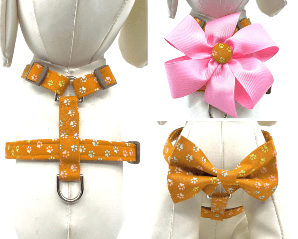 A bunch of different types of bows on a dog 's collar