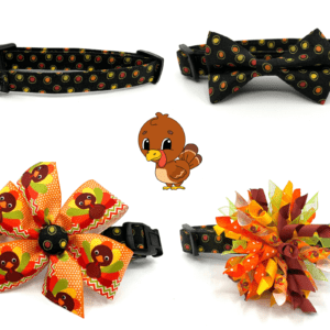 A turkey themed bow tie and collar set.