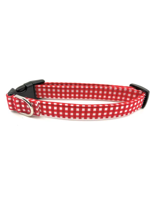 A red and white polka dot dog collar.