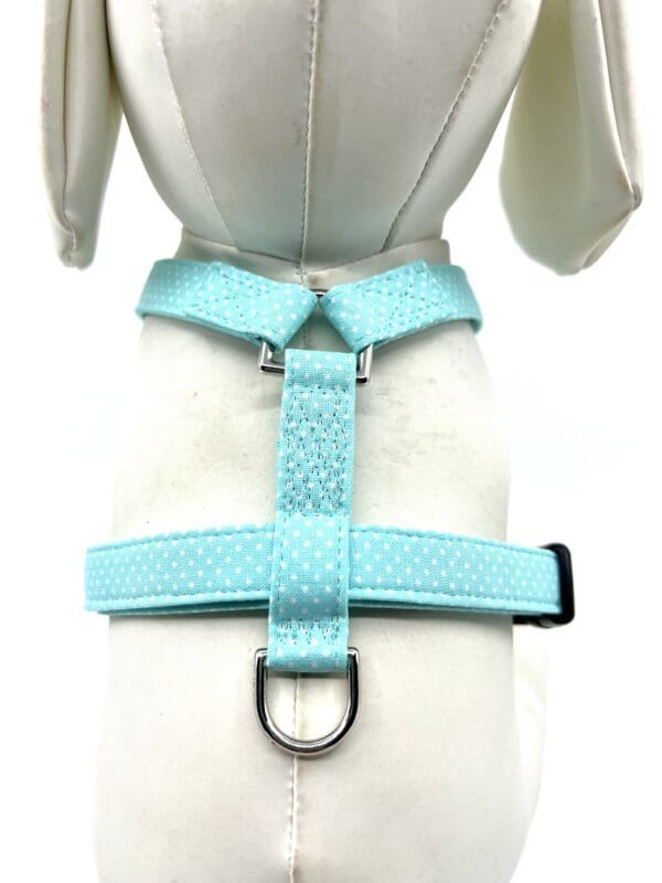 A light blue harness with a silver ring around it.