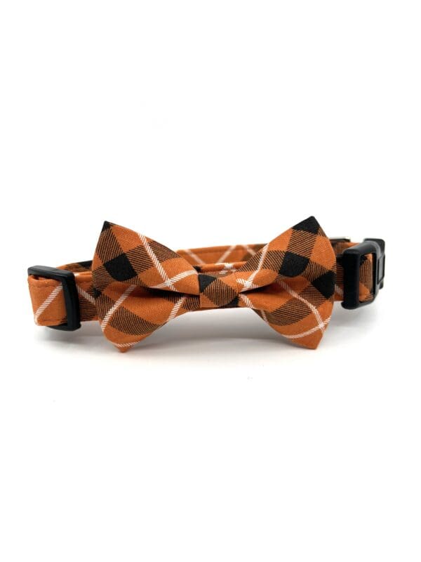 A dog collar with a bow tie on it.