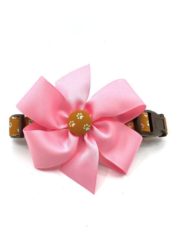 A pink bow is on top of the collar.