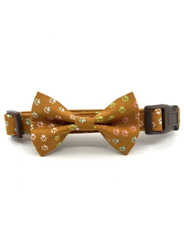 A brown bow tie dog collar with flowers on it.
