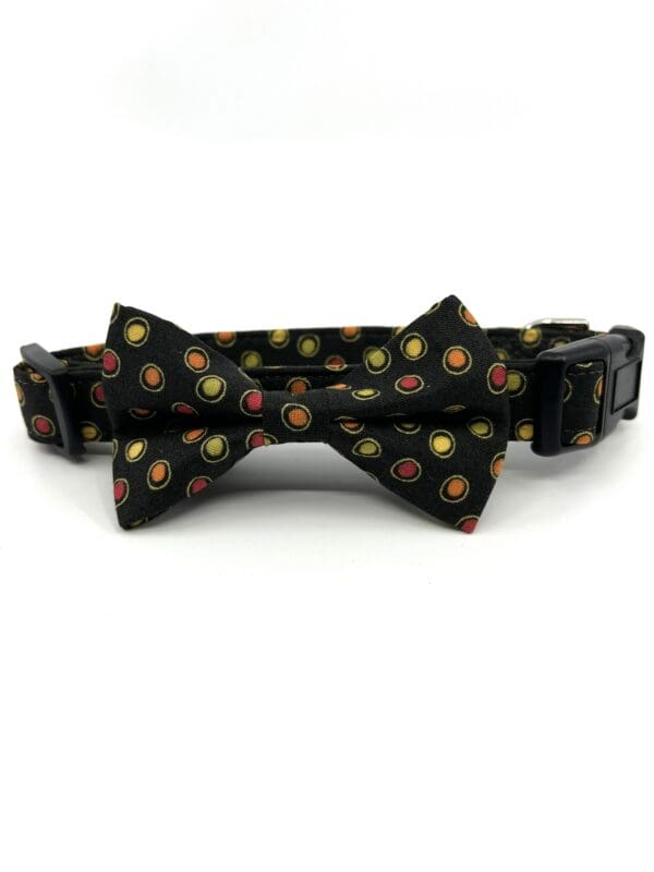 A black collar with a bow tie and a red, yellow, green, and blue heart pattern.