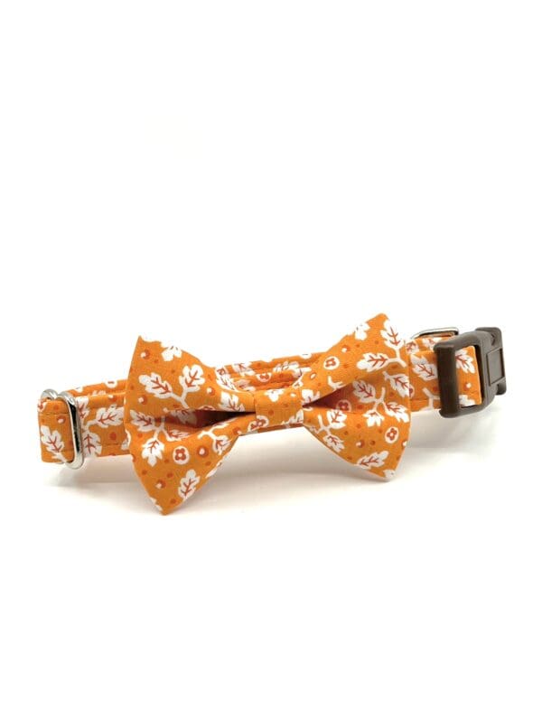 A bow tie that is orange and white.