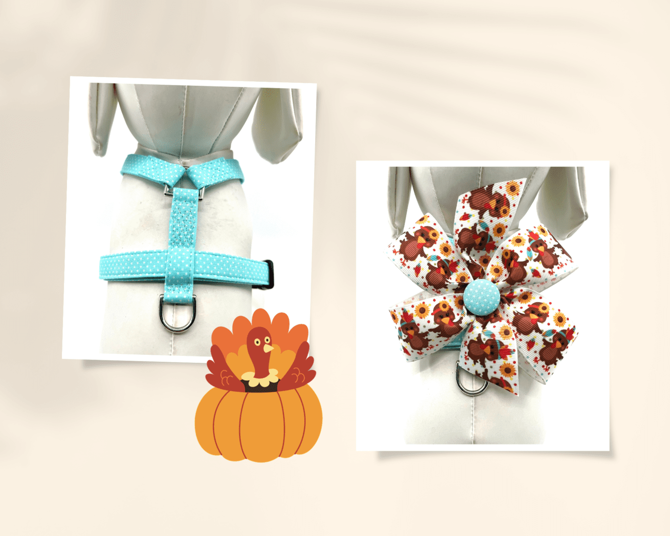 A dog harness and bow tie next to a pumpkin.