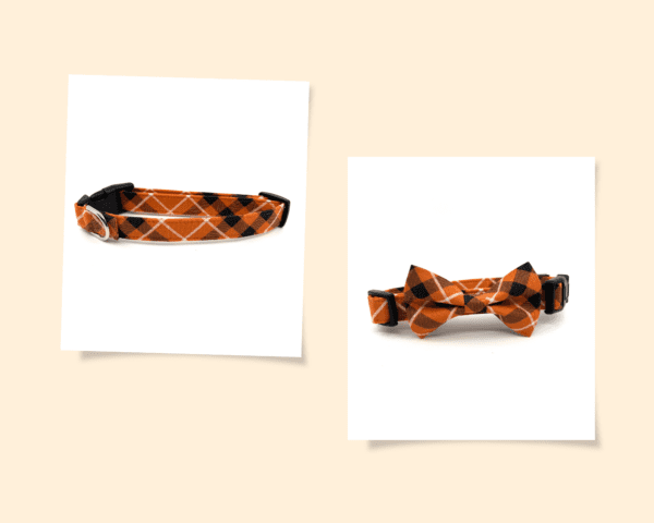 A picture of two different types of bow ties.