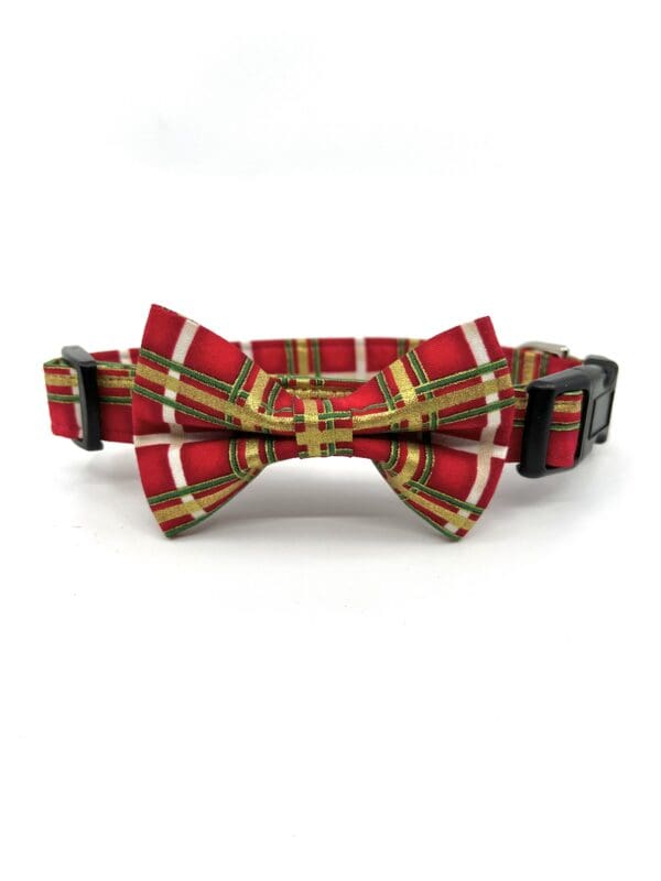 A red and gold plaid bow tie dog collar.