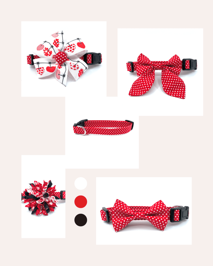 Red polka dot bowtie dog collar.