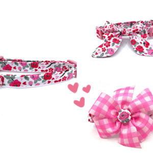 A dog collar with a bow and a bow tie.