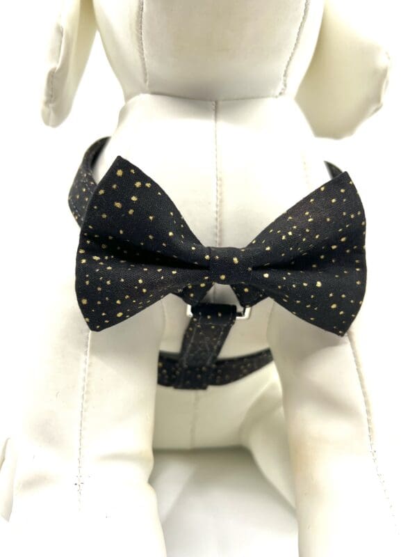 A dog wearing a black bow tie with gold stars.