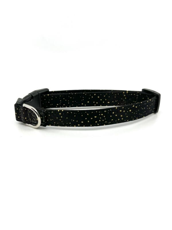 A black and gold dog collar with a silver buckle.