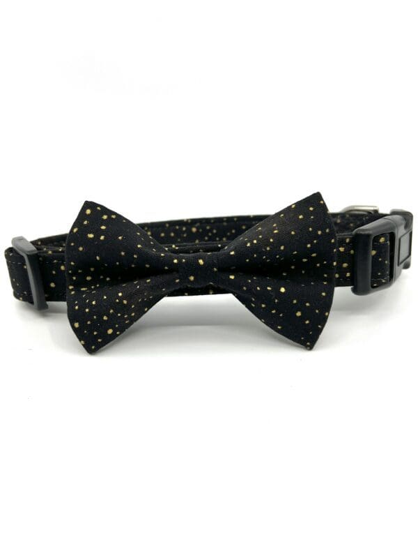 A black bow tie collar with gold polka dots.
