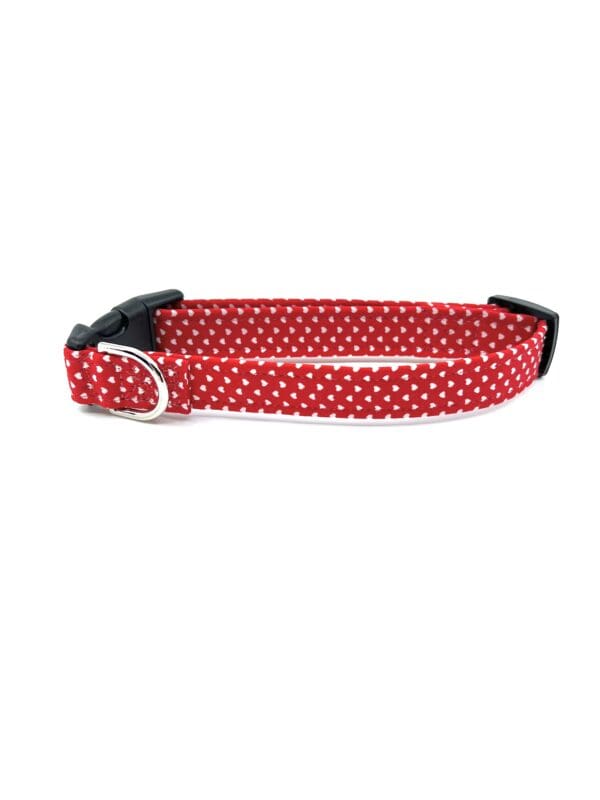 A red and white dog collar.