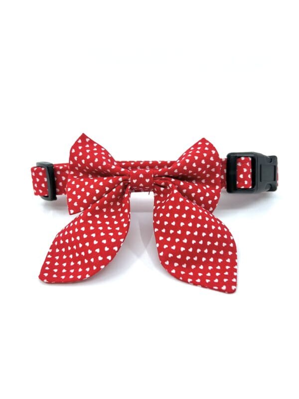 A red polka dot collar with a black buckle.