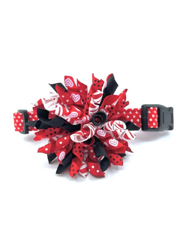 A red and black polka dot dog collar.
