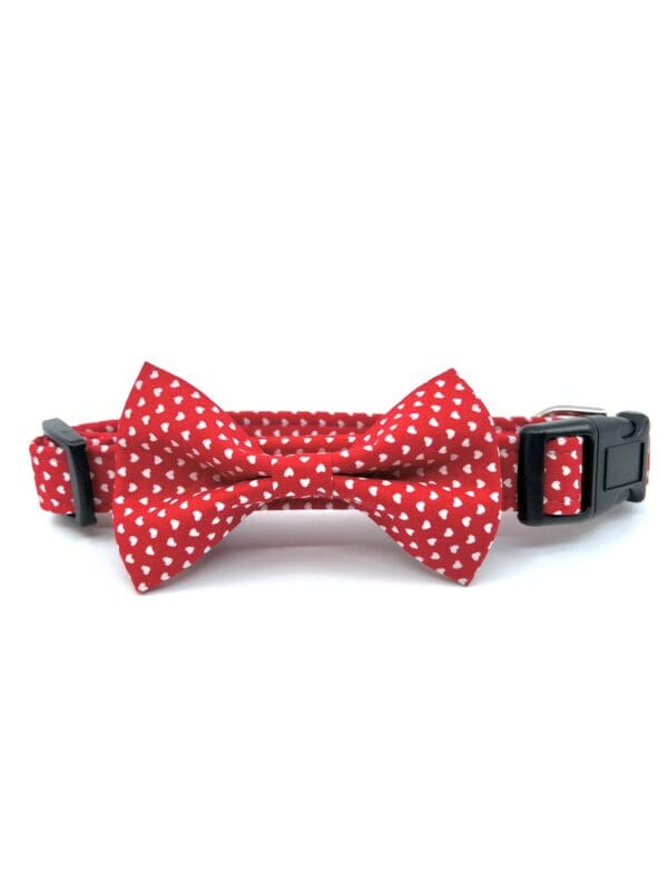 A red bow tie with white hearts.