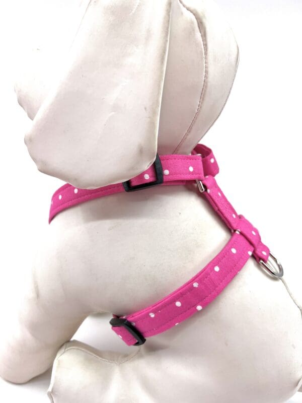 A dog wearing a pink harness.