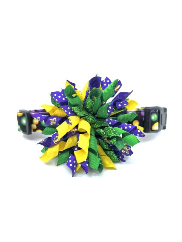 A purple and green pom pom dog collar.