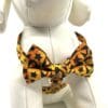 Halloween Pumpkins and Paw Orange and Black Harness- Add on Removable Bow- Bow Tie- Bat Wings - Image 7