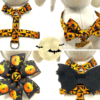Halloween Pumpkins and Paw Orange and Black Harness- Add on Removable Bow- Bow Tie- Bat Wings