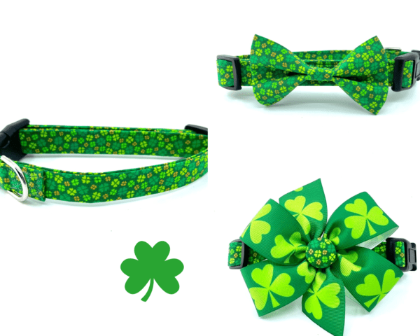 St. Patrick Clover Green Dog Collar- Add on Removable Bow- Bow Tie