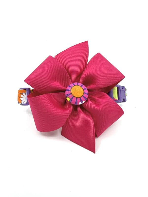 Summer Spring Pink Yellow Purple Orange Daisy Dog Collar- Add on a Removable Bow- Your choice of color - Image 3