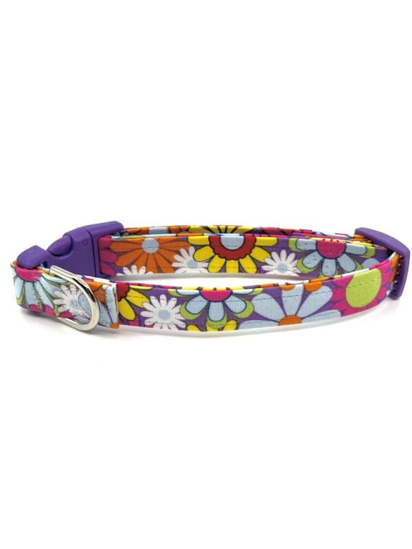 Summer Spring Pink Yellow Purple Orange Daisy Dog Collar- Add on a Removable Bow- Your choice of color - Image 2