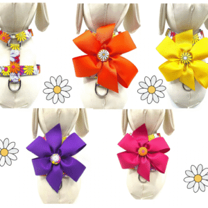Summer Spring Pink Yellow Purple Orange Daisy Dog Harness- Add on a Removable Bow- Your choice of color