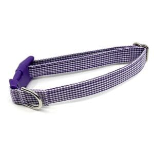 Purple Gingham Collar