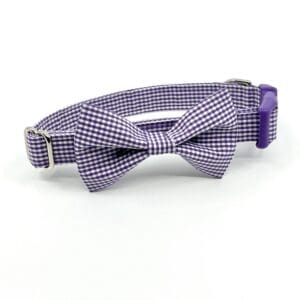 Purple Gingham Collar with Bow Tie