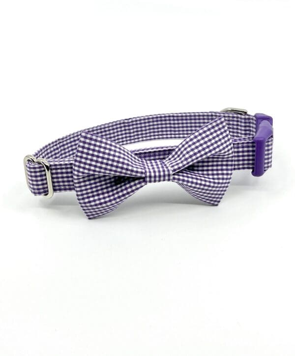Purple Gingham Collar with Bow Tie