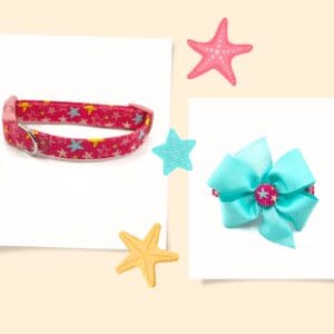 Summer Spring Pink Starfish Beach Dog Collar- Add on a Removable Bow