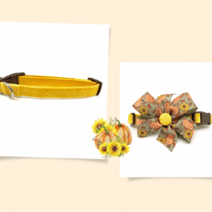 Fall Halloween Yellow Green Pumpkins Sunflowers Dog Collar- Add on a Removable Bow