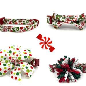 Christmas Red Green Peppermint Dog Collar- Add on Removable Polka Dot Bow- Bow Tie or Korker Bow