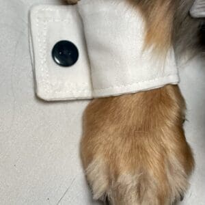 Dog cuffs, pet cuffs, wedding dog cuffs, wedding dog accessory, Your choice of color, Hook and Loop cuffs