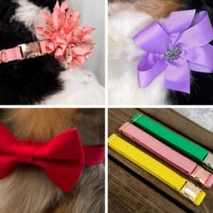 Solid Color Dog Collar- Wedding Dog Collar- Special Day- Your Choice of color, Metal hardware, Add on Removable Bow- Bow Tie- Korker Bow or Sailor Bow