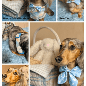 Blue and Orange Plaid Dog Collar-Easter Dog Collar- Add on Removable Egg Bow- Bunny Bow Tie- The New Tie Bunny Pattern- Bunny Sailor Bow- Slip Through Bandana