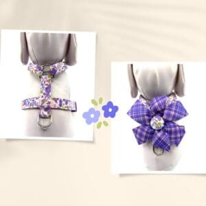 Spring Summer Small Purple Pink Turquoise Chartreuse Floral Dog Harness- Add on a Removable Purple Plaid Bow