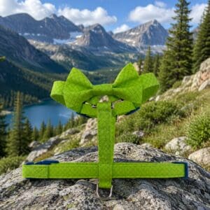 Neon Green Dog Harness- Add on a Removable Bow Tie- Adjustable Dog Harness